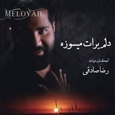 دانلود آهنگ رضا صادقی باورم نمیشه