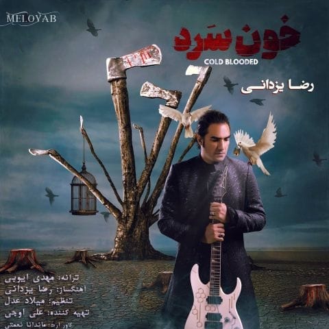 دانلود آهنگ رضا یزدانی من زخم خوردم از کسی که باورش سخته برات