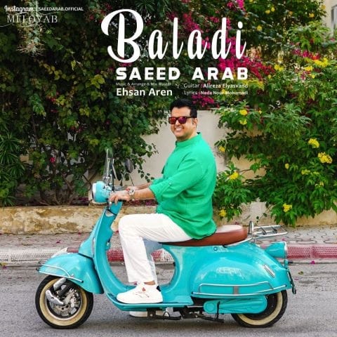دانلود آهنگ سعید عرب تنگ میشه دلم خودتو میرسونی زود