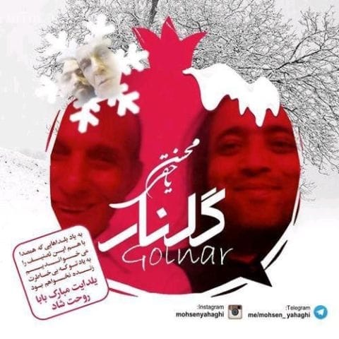 دانلود آهنگ محسن یاحقی گلنار