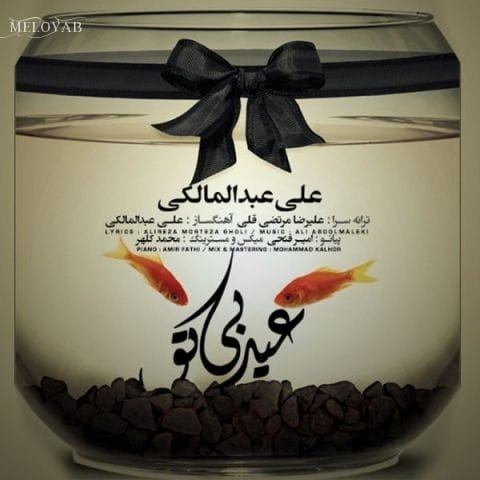 دانلود آهنگ علی عبدالمالکی این عکسا پر نمیکنن جاتو برا من