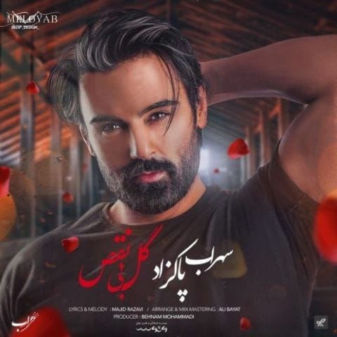 دانلود آهنگ سهراب پاکزاد گل بی نقص دانلود آهنگ سهراب پاکزاد گل بی نقص