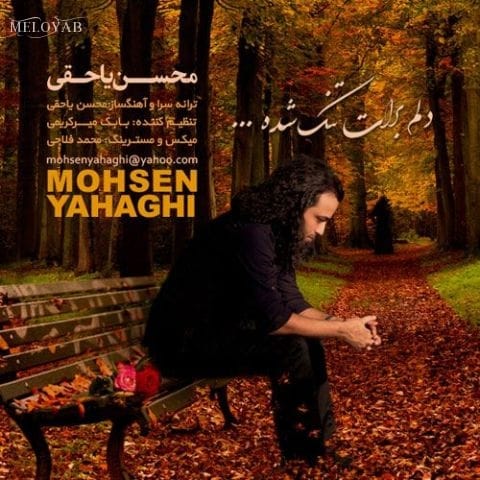 دانلود آهنگ محسن یاحقی دلم برات تنگ شده