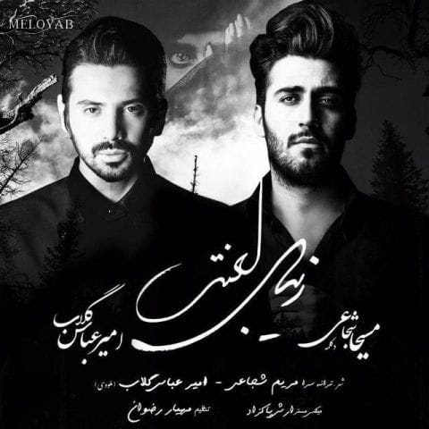 دانلود آهنگ امیرعباس گلاب که بارها برایت خوانده اند گاهی باید غرق شد در هرآنچه که تورا به خدا نزدیک می کند