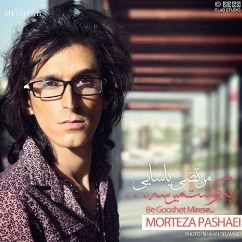 دانلود آهنگ مرتضی پاشایی به گوشت میرسه دانلود آهنگ مرتضی پاشایی به گوشت میرسه