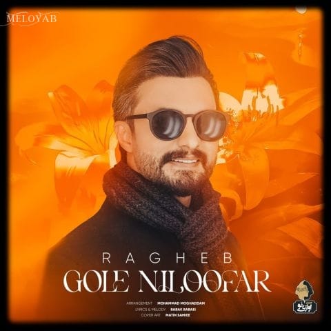 دانلود آهنگ راغب شب برسه دوباره فکر تو بزنه دلمو از ریشه دانلود آهنگ راغب شب برسه دوباره فکر تو بزنه دلمو از ریشه