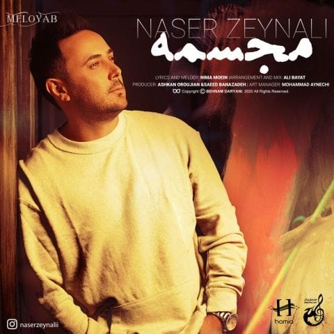 دانلود آهنگ ناصر زینعلی کم که میارم میگیرم هی نشونت دانلود آهنگ ناصر زینعلی کم که میارم میگیرم هی نشونت