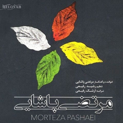 دانلود آهنگ مرتضی پاشایی پرنده جون رازقی پراتو وا کن و برو