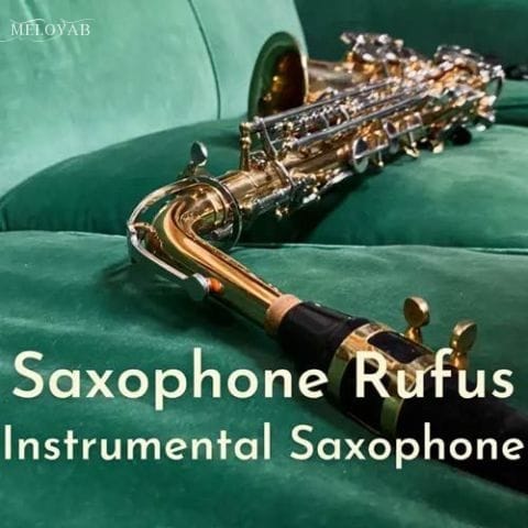 دانلود آهنگ Saxophone Rufus Vandaag (One Day دانلود آهنگ Saxophone Rufus Vandaag (One Day