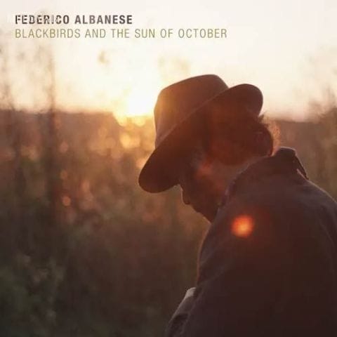 دانلود آهنگ Federico Albanese Into the Sun