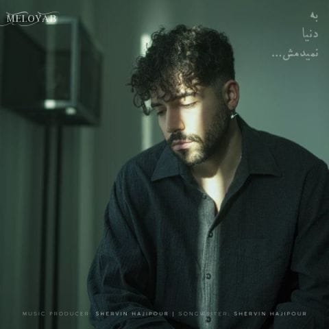 دانلود آهنگ شروین حاجی پور صدای قلبم وقتی پا میذاری تو خونه