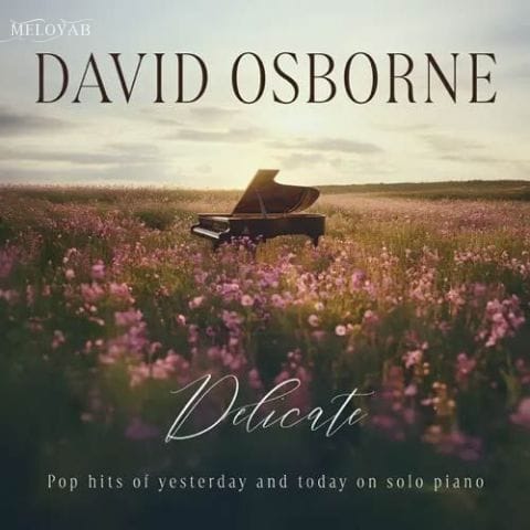 دانلود آهنگ David Osborne Turn the Lights Back On