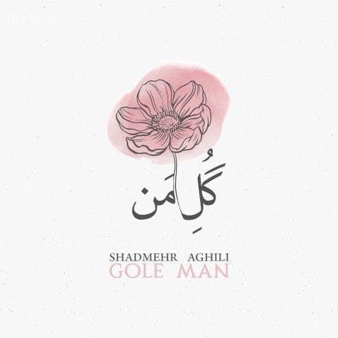 دانلود آهنگ شادمهر عقیلی گل من (اجرای زنده)