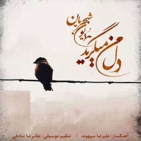 دانلود آهنگ همایون شجریان ‎من به تکرار به خود میگویم من به تکرار به خود میگویم