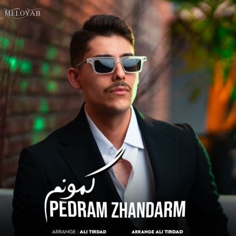 دانلود آهنگ پدرام ژاندارم گمونم