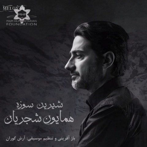 دانلود آهنگ همایون شجریان به چندین شهر و دیار رفتم دانلود آهنگ همایون شجریان به چندین شهر و دیار رفتم