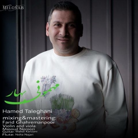 دانلود آهنگ های حامد طالقانی