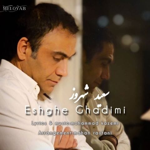 دانلود آهنگ سعید شهروز بدون تو میرم یه گوشه می‌میرم