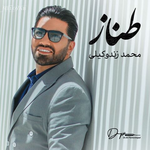 دانلود آهنگ محمد زندوکیلی عزیزوم روزگار خوش نصیبت