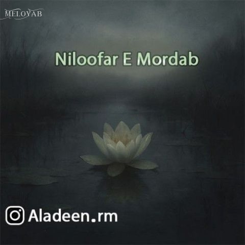 دانلود آهنگ علا نیلوفر مرداب