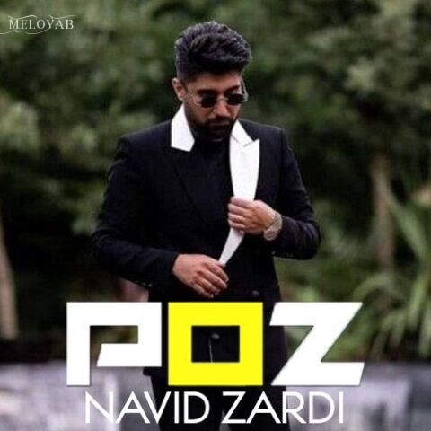 دانلود آهنگ نوید زردی پز