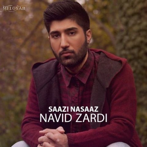 دانلود آهنگ نوید زردی سازی ناساز