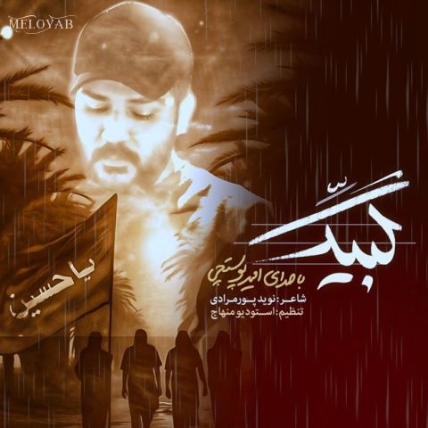 دانلود آهنگ های امیر پوستچی