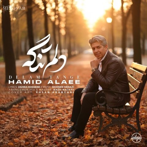 دانلود آهنگ حمید علایی دلم تنگه